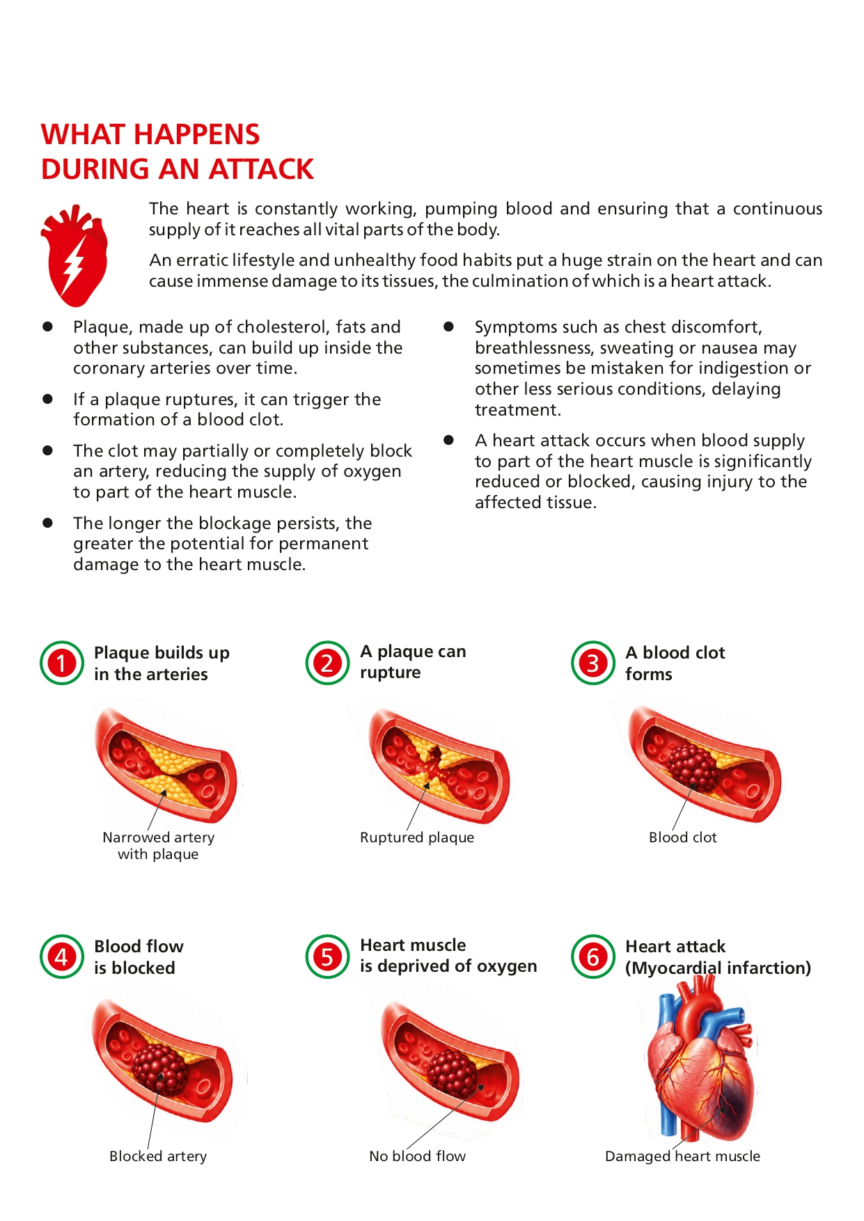 WHD 5