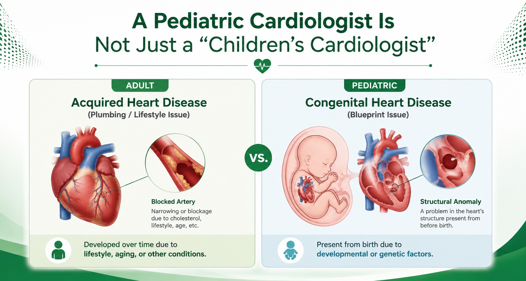 An illustration of a developing fetal/infant heart with structural anomalies (like a hole), labeled "Congenital Heart Disease (Blueprint Issue)".