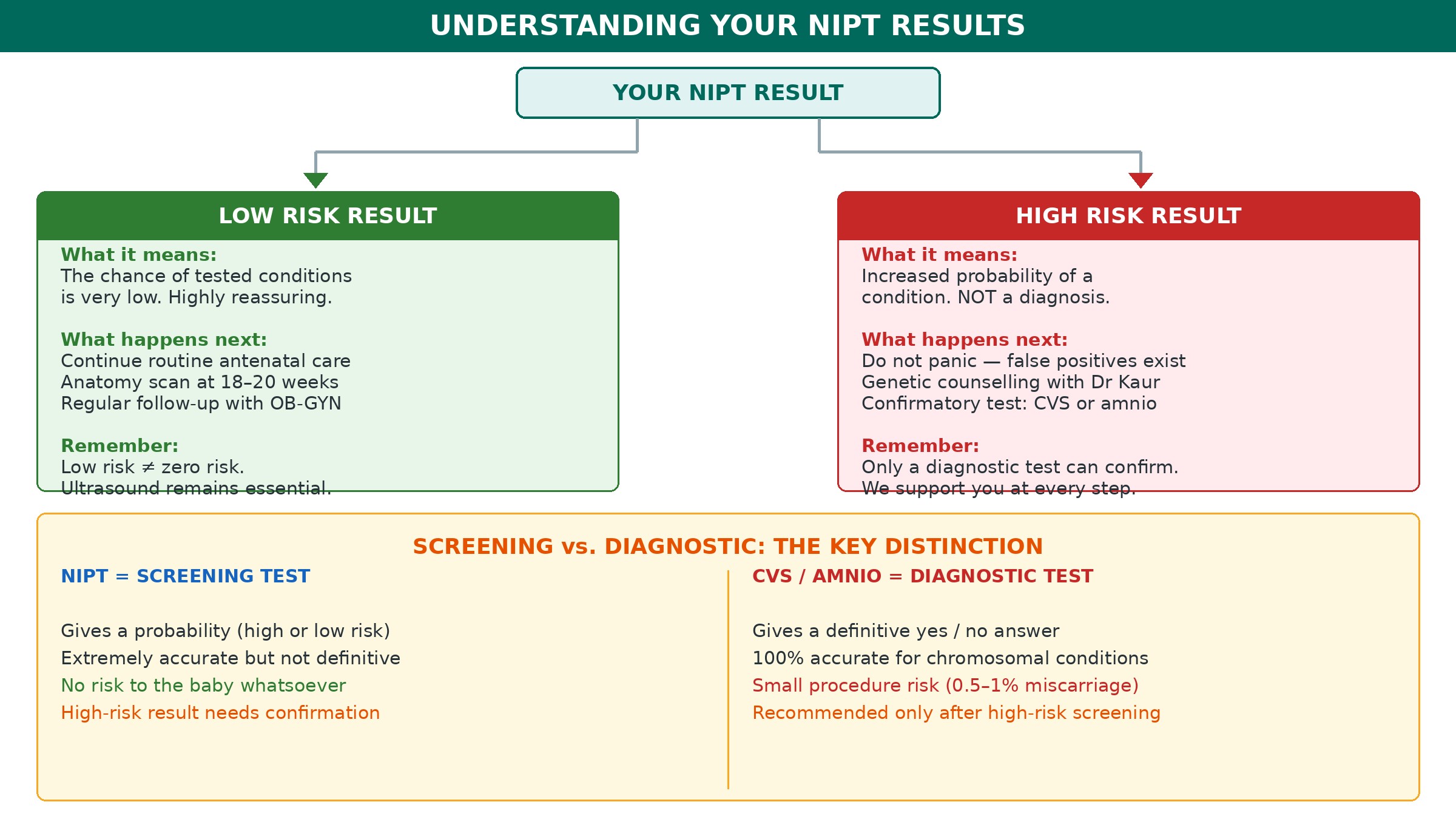 Understanding your NIPT results—the decision pathway for low-risk and high-risk outcomes, and the critical distinction between screening and diagnostic testing.