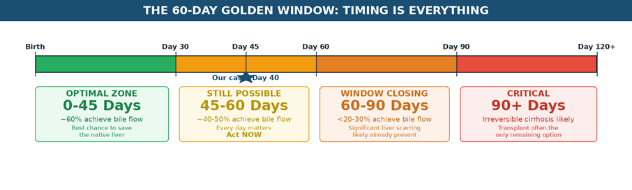 The Golden Window Timeline — Kasai procedure outcomes decline sharply with each passing week. Our recent case was operated at Day 40, within the optimal zone.