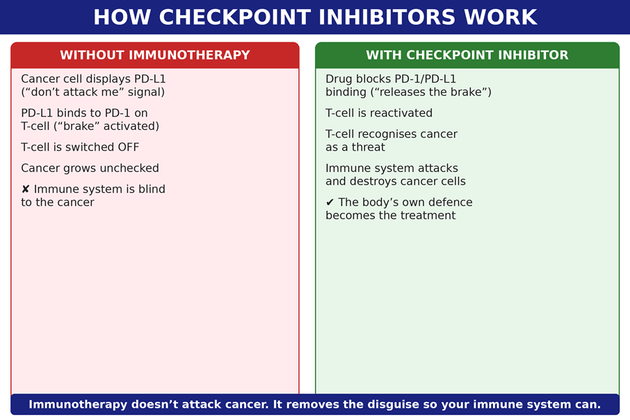Title: How checkpoint inhibitors work by blocking the PD-1 PD-L1 handshake - Description: How checkpoint inhibitors work by blocking the PD-1 PD-L1 handshake