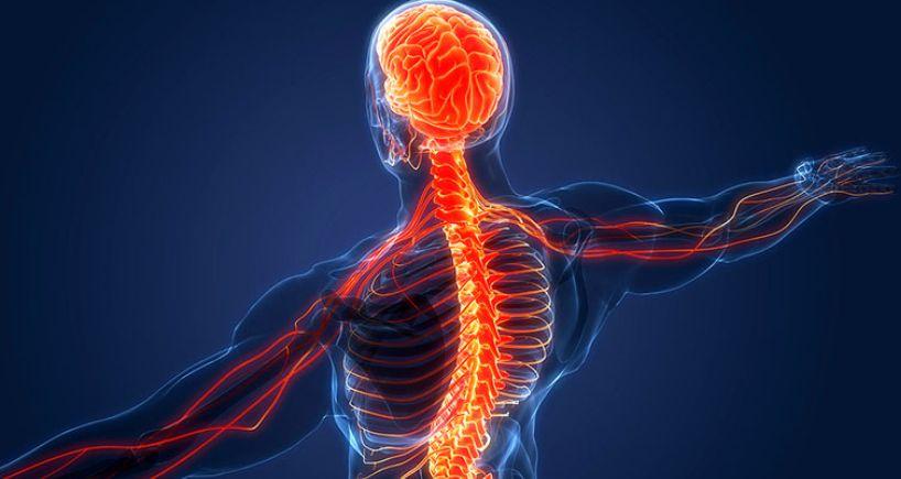 Isoflurane Solution Inhibit the central nervous system | Shaanxi BLOOM Tech Co., Ltd Isoflurane Solution Inhibit the central nervous system | Shaanxi BLOOM Tech Co., Ltd