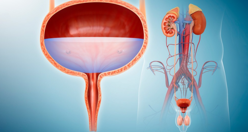 Common Urology Problems: Types, Tests, and Treatments 