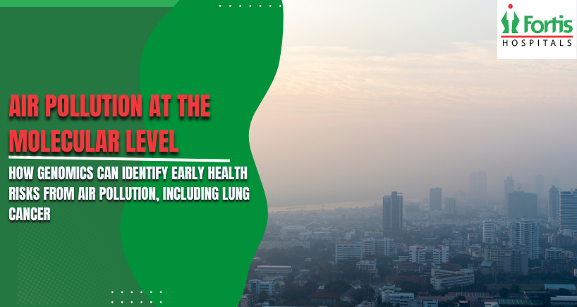 Air Pollution at the Molecular Level