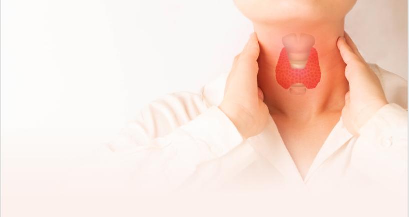 Thyroid