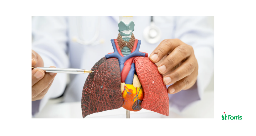 भारत में लिवर ट्रांसप्लांट