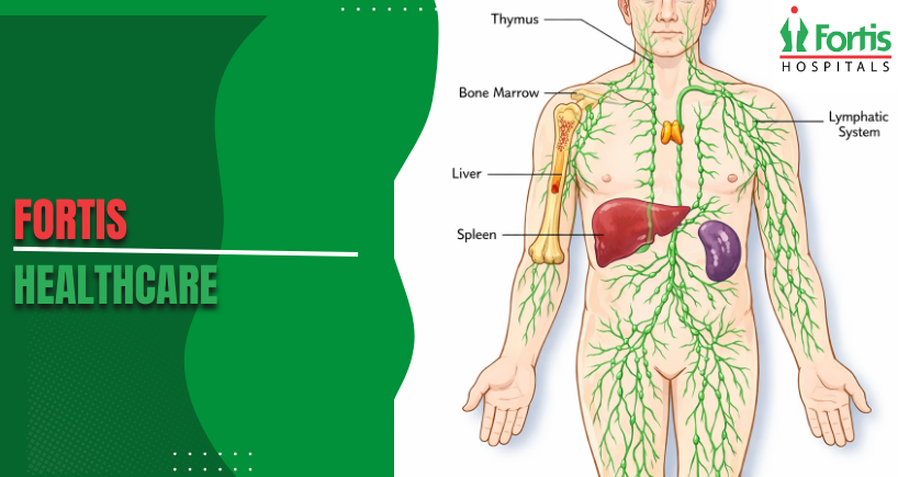 Non-Hodgkin Lymphoma