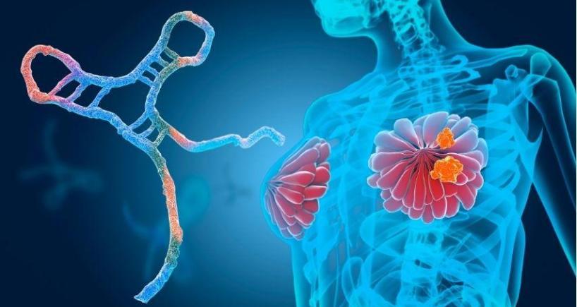 After Biopsy or Ablation