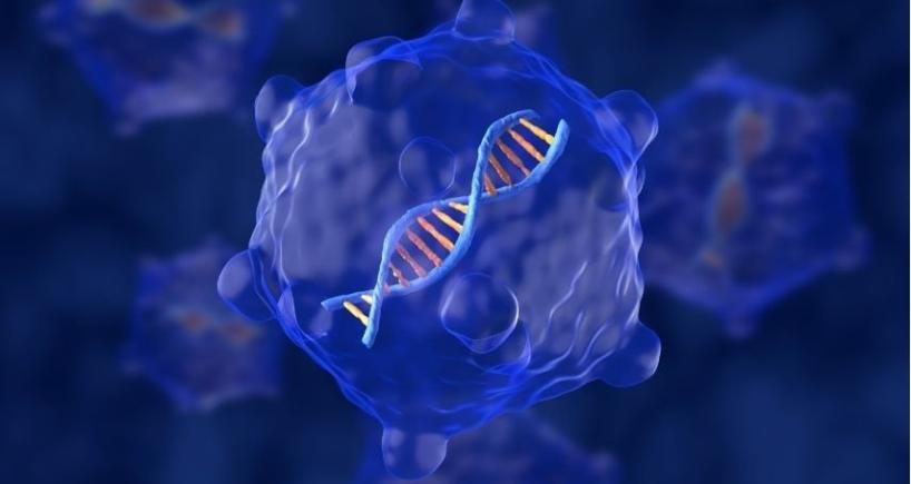 Cytokine Release Syndrome and Neurotoxicity in CAR-T - What Patients Are Worried About?