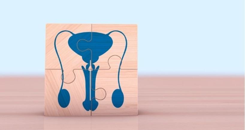 Is It Normal to Have Visible Veins in the Scrotum