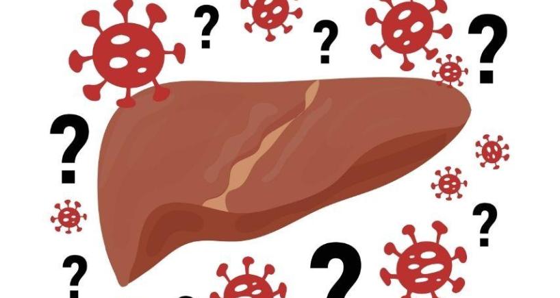Life After Paediatric Liver Transplant