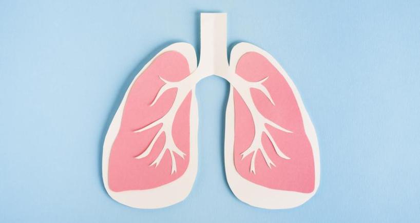Lung Transplantation - A Comprehensive Guide to the Life-Saving Procedure