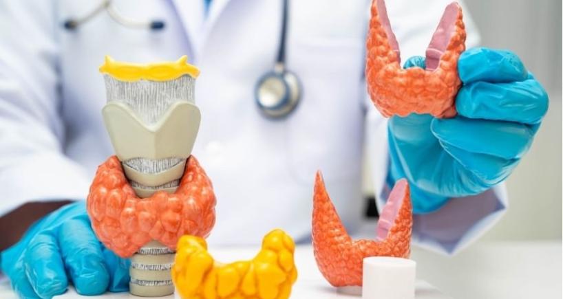 Thyroid Artery Embolization vs Surgery- Which Option Fits Your Life Better