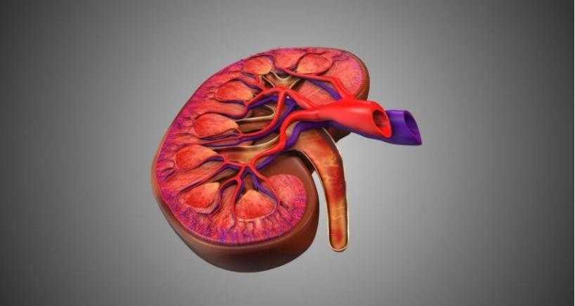 Understanding the Peritoneal Cancer Index (PCI) and How It Affects HIPEC Outcomes