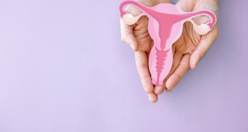 Robotic Gynecological Surgery in Chennai - Gleneagles Hospital