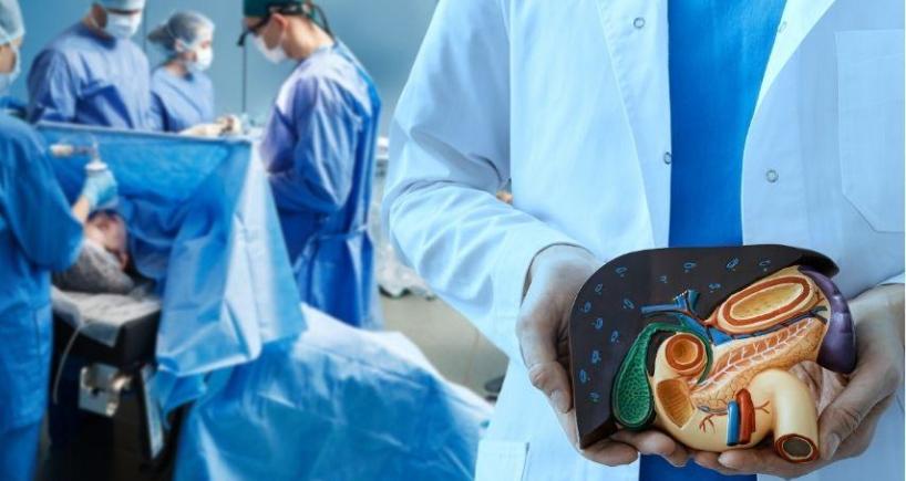 What Happens After a Pediatric Liver Transplant