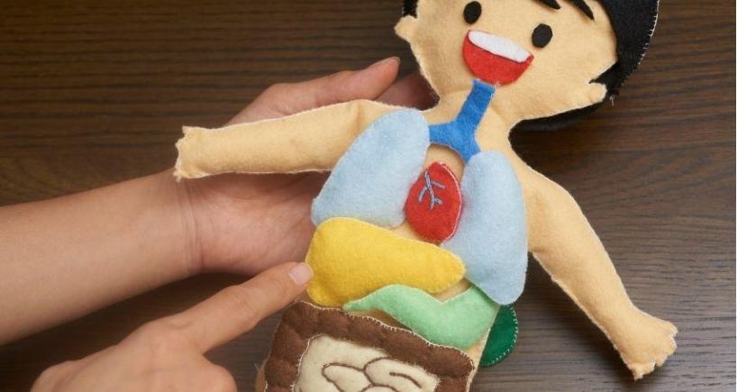What Is Pediatric Liver Transplant
