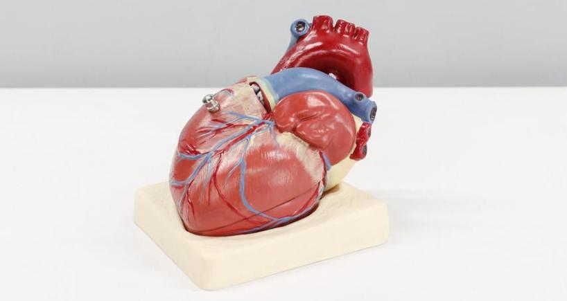 Advanced Heart Failure and Transplant Care in Chennai