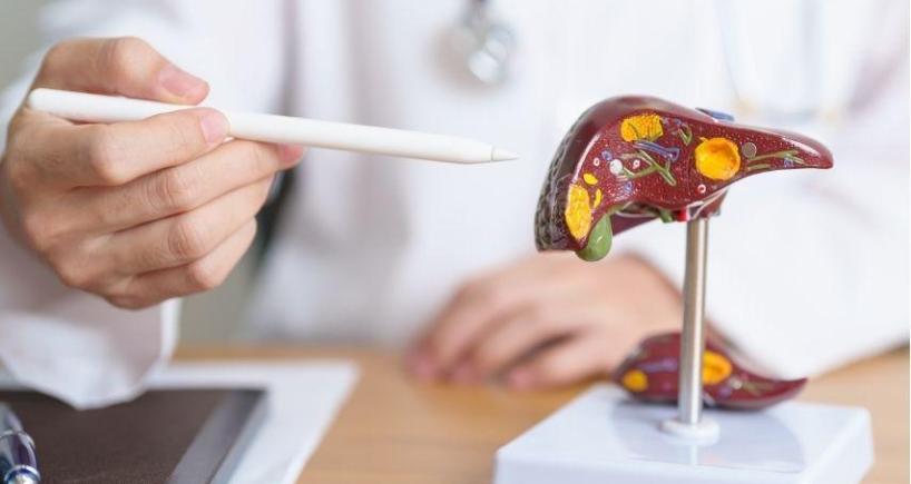 What to Watch Out For After a Child Liver Transplant