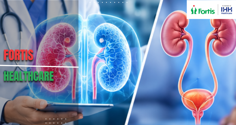 Nephrology vs Urology