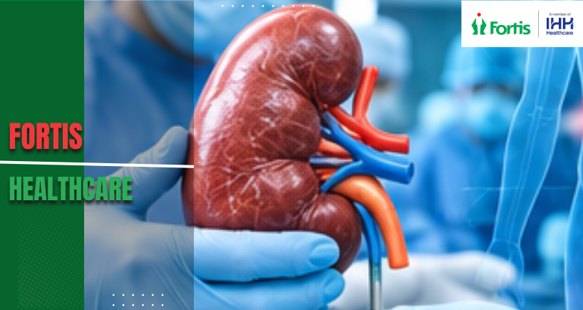 Kidney Transplant Surgery