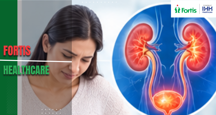 Nephrology Doctor