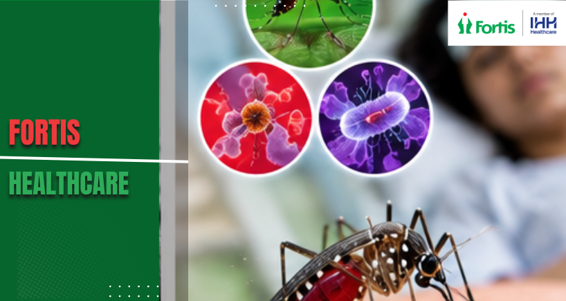 Dengue vs Malaria vs Typhoid