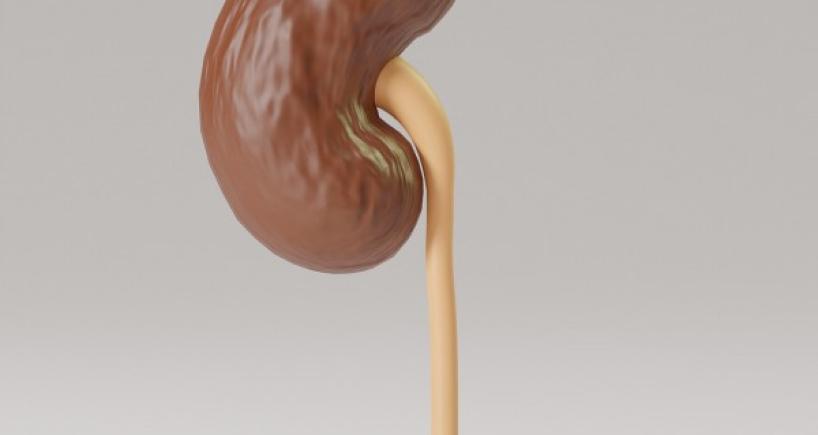 Living With End Stage Renal Disease - Kidney Transplant Is The Answer