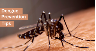 Dengue Prevention Tips
