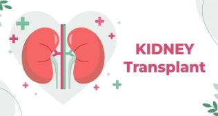 Kidney Transplants in Mumbai