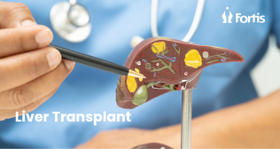 Best Liver Transplant Hospital in Mumbai