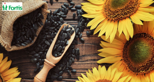 सूरजमुखी के बीज (Sunflower Seeds) के 10 जबरदस्त स्वास्थ्य लाभ