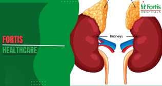 Healthy Kidneys 