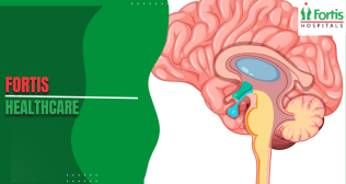 Olfactory Neuroblastoma Symptoms