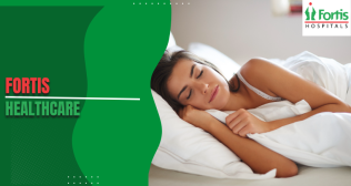 Sleep And Nervous System