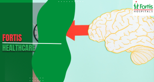Cerebral Cortex
