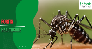 Diseases Spike Every Monsoon