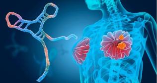 After Biopsy or Ablation