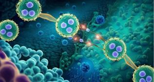 CAR-T for Solid Tumors 
