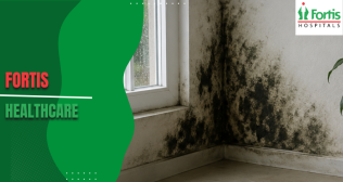 Indoor mould
