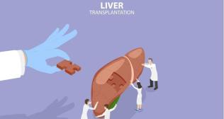 Living Donor vs Deceased Donor vs Split Liver Transplant