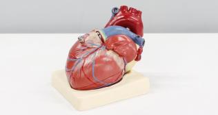 Advanced Heart Failure and Transplant Care in Chennai