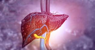 Difference between liver cancer and liver cirrhosis