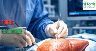 Liver Surgeons 