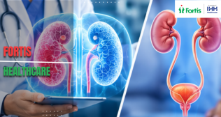 Nephrology vs Urology