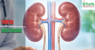 Kidney Specialist