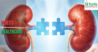 Kidney Replacement