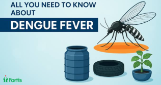 डेंगू बुखार (Dengue Fever)