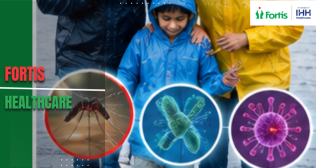 Monsoon diseases in Delhi