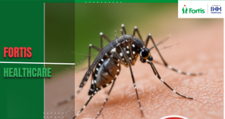 Dengue 